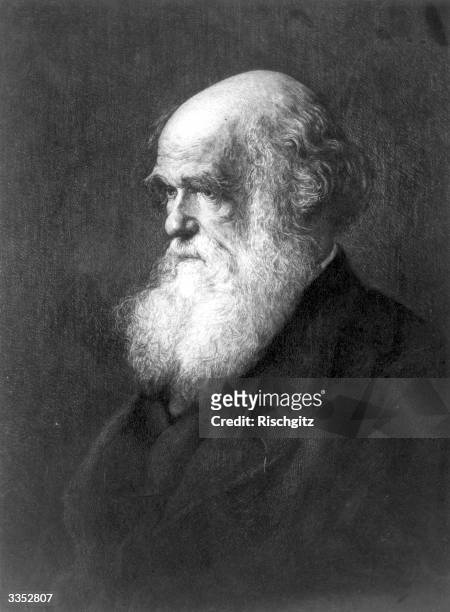 Charles Darwin , British scientist, who laid the foundation of modern evolutionary theory. Original Publication: From a painting by Ouless.