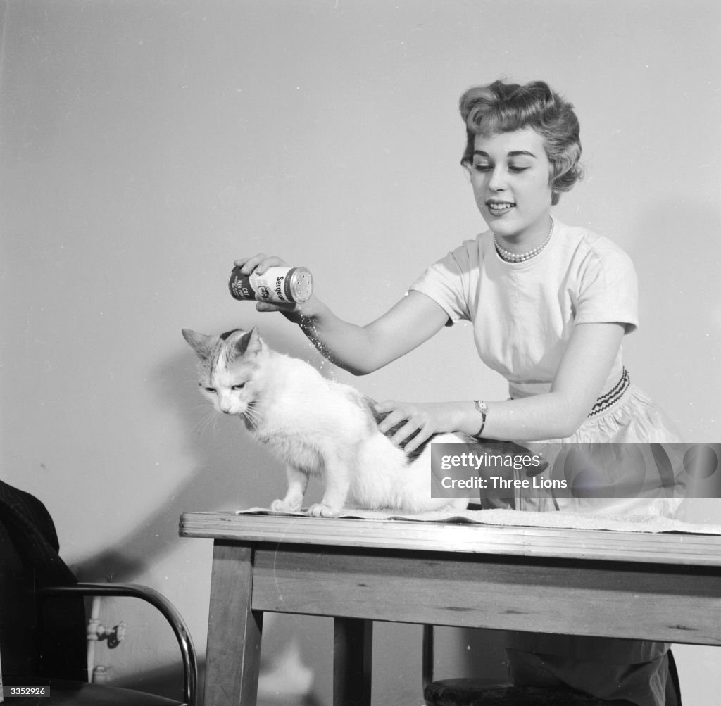 Cat De-Lousing