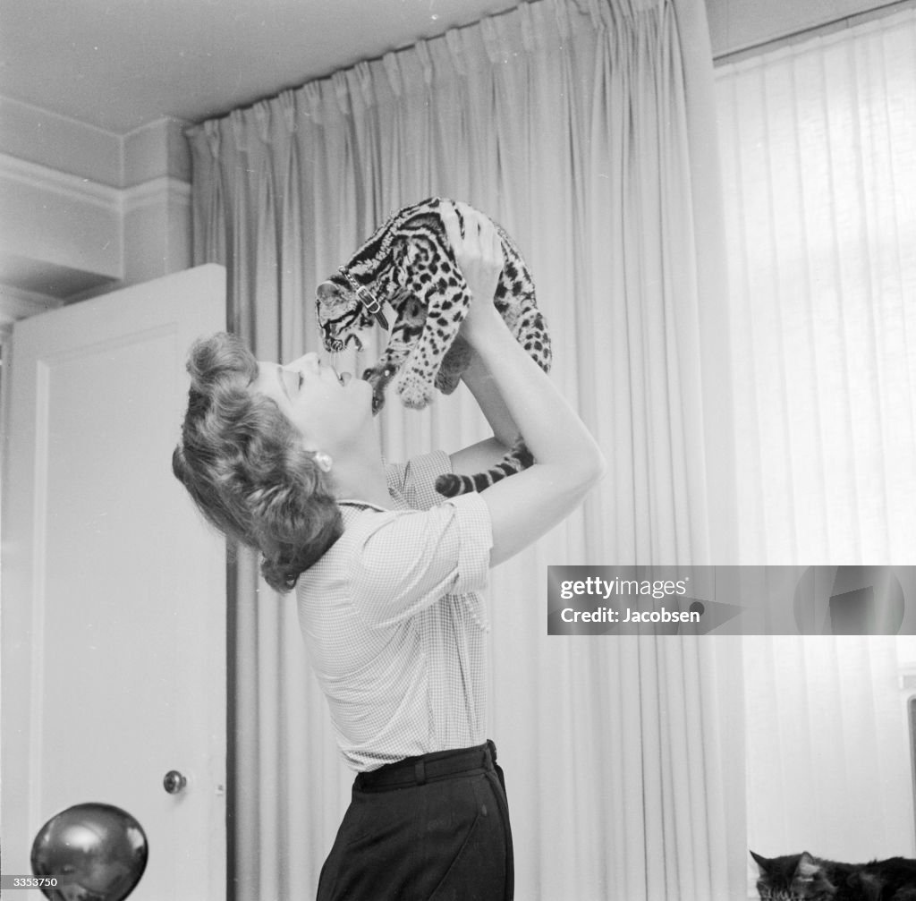 Jungle Cat Pet