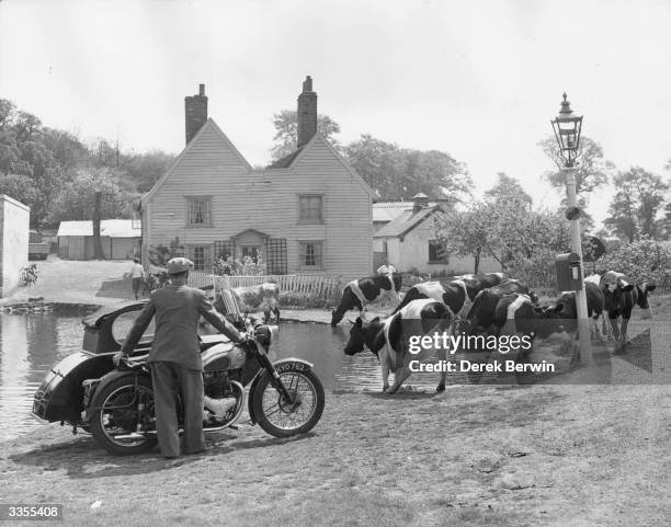 Mr A Berwin of Walthamstow pausing to admire the picturesque rural scene at Carrolls Farm in Chingford, East London.