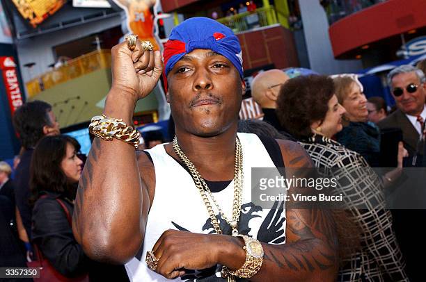 Rapper Won-G attends the world premiere of the film "Connie and Carla" at the Universal Studios Cinema on April 13, 2004 in Universal City,...