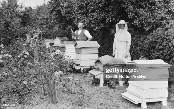 Beekeepers with smoke-gun and protective headgear stand by wooden beehives.