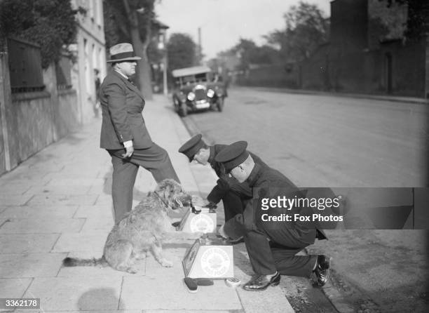 Henry Sandoni and his dog being groomed by bootblacks in a street.
