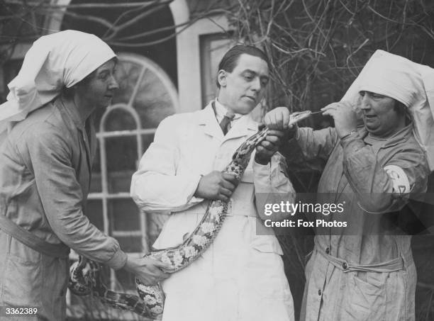 Nurse at the Peoples Dispensary for Sick Animals in London treats an 8ft long Boa Constrictor that has toothache.