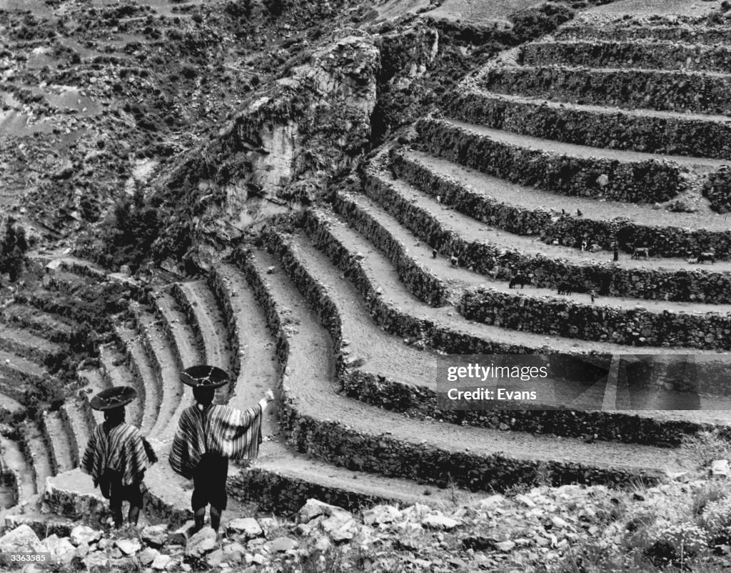 Aztec Fields