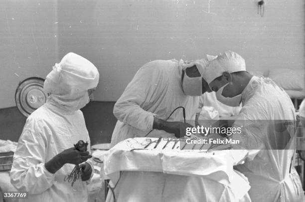 Operating Human Using Razor Knife 124 Electric Knife Stock Photos, High-Res Pictures, and Images - Getty ...