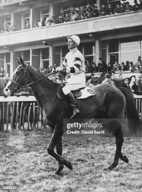 McNeil on Airgead Sios at the Cheltenham for the Gold Cup.