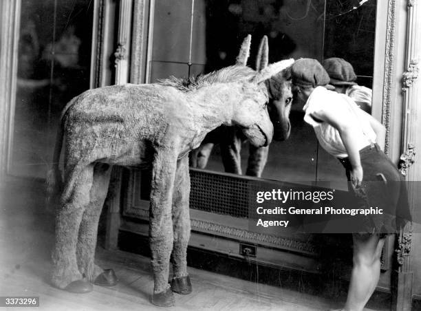 Miss Morrissey, a chorus girl with the Piccadilly Hotel Revue, looking into a mirror with Hank the mule popular for his 'He Haw' songs and dances.