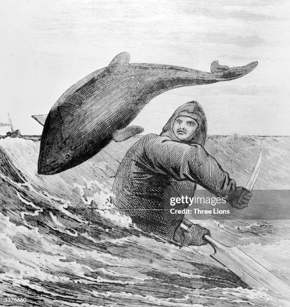 Captain Paul Boyton encounters a porpoise during his English Channel crossing without a vessel, wearing his life-saving, air-filled swimming outfit.