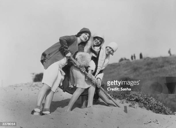 Group of flappers on a beach.