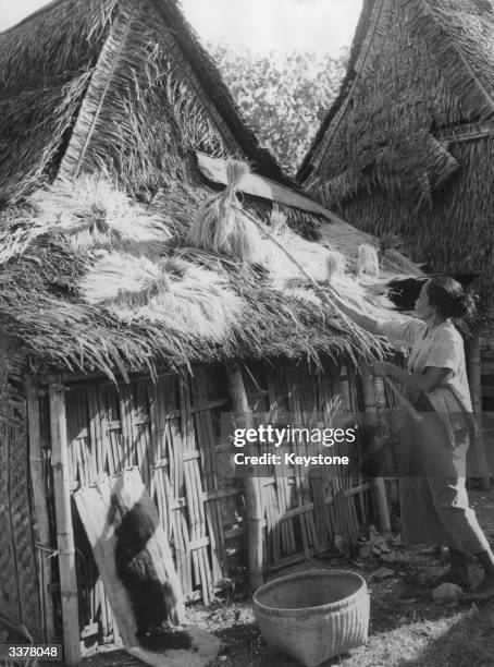 China Hut Java Rice 511 Java Hut Stock Photos, High-Res Pictures, and Images - Getty Images