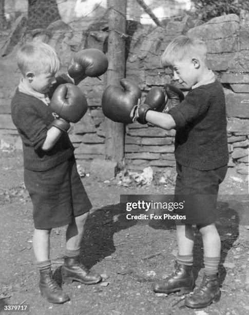 Harold Ridges Portland 85 Harold Ridge Photos & High Res Pictures - Getty Images