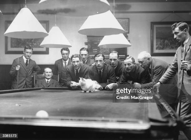 Players hope that they have found a lucky mascot, as the hotel cat perches itself on the billiards table. The Newcastle United team are staying at...
