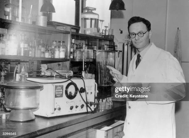 Hans Krebs Photos and Premium High Res Pictures Getty Images