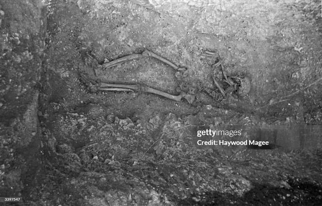 Iron Age Skeleton