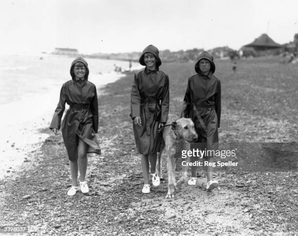 Triplets walking an Irish Wolfhound dog on a beach at Herne Bay, Kent.