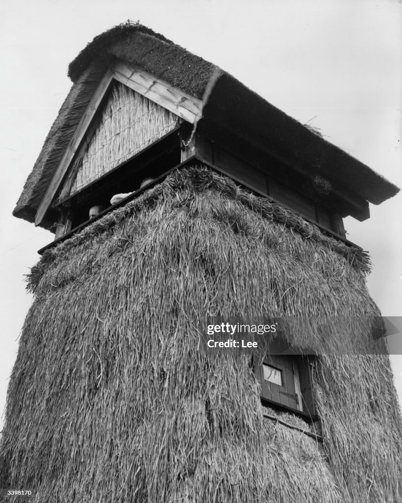 Sedge Thatched Hide