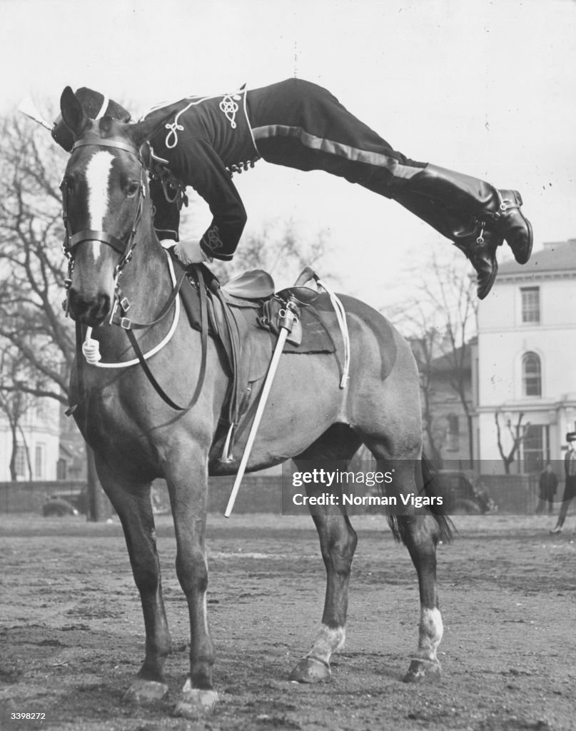 Horse Acrobatics