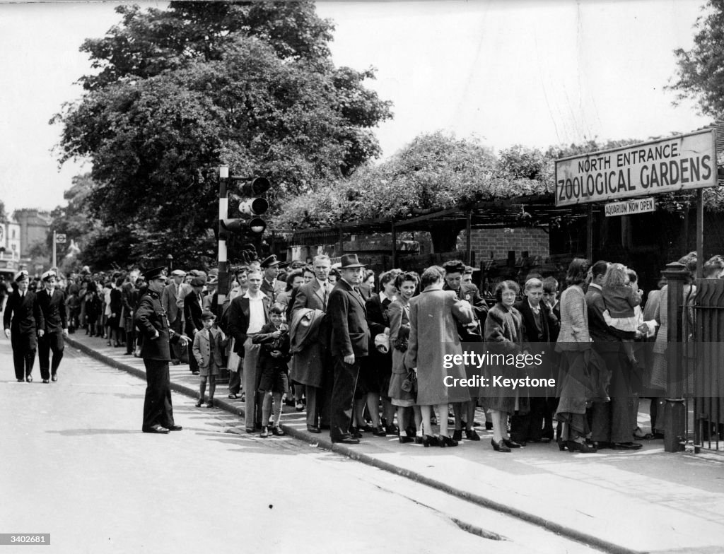 Zoo Queue