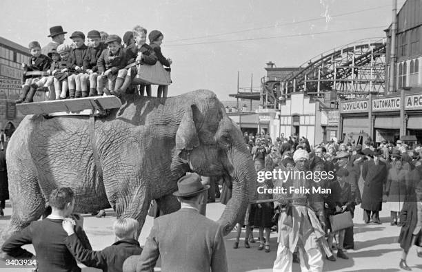 Schoolboys view the grounds at Belle Vue, the popular amusement park in Manchester, from their seat on Lil the elephant. Original Publication:...