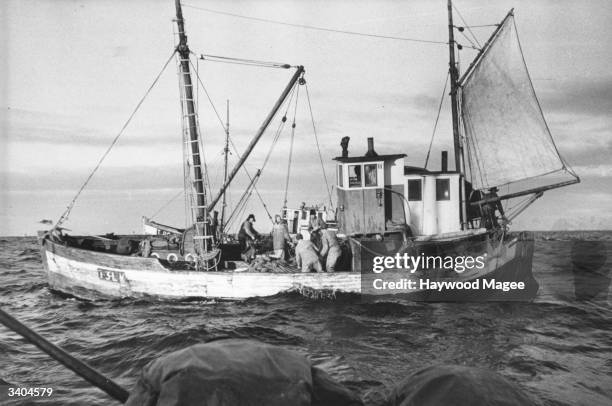 Cod Fishing Ship 1,184 Atlantic Cod Stock Photos, High-Res Pictures, and Images - Getty ...