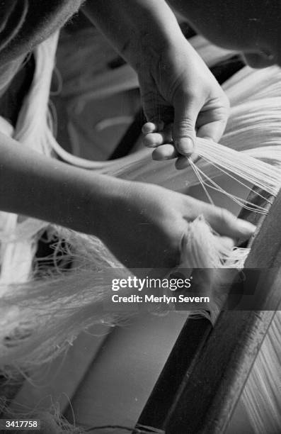 Sorting threads of flax. Original Publication: Picture Post - 4584 - Irish Linen Earns Needed Dollars - pub. 1948