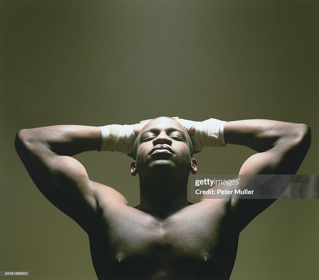 Thoughtful Boxer