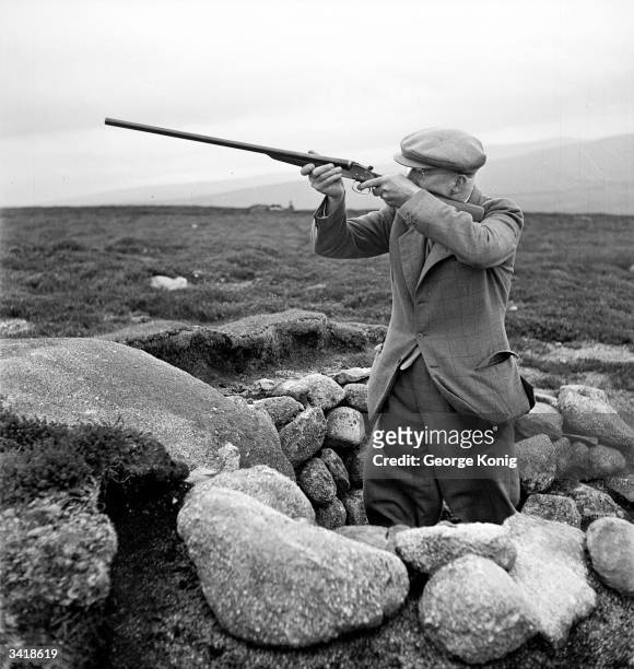 Colonel Neill McArthur shoots grouse from the shelter of a stone butt on Daviot Moor, near Moy, Inverness-shire. Grouse shooting is a popular sport...