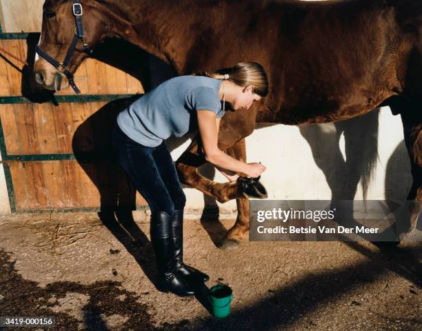 woman changing horseshoe - hoof stock pictures, royalty-free photos & images