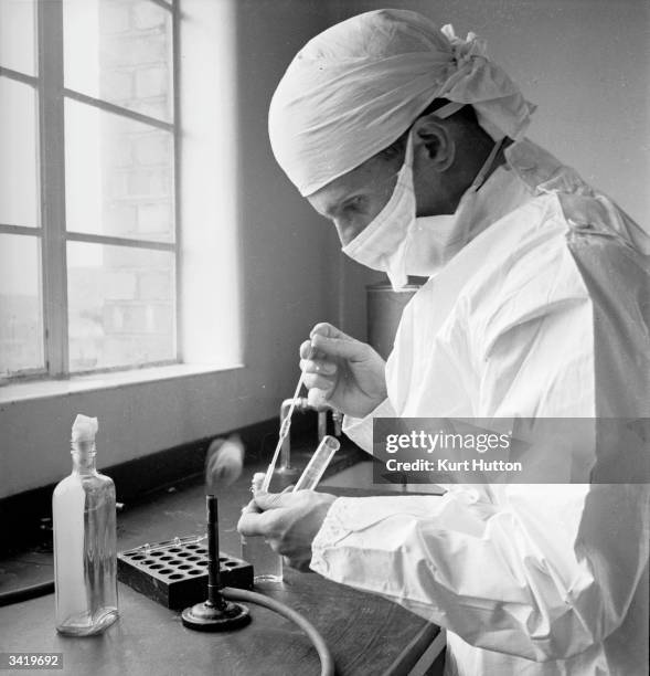 Laboratory technician working with a new anti-tuberculosis drug, streptomyces griseus, which is fed yeast, glucose and mineral salts to produce...