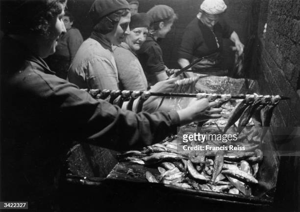 Women sorting and preparing the herring catch at Yarmouth. Original Publication: Picture Post - 3027 - Yarmouth Herring Girls - unpub.