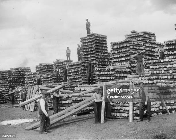 Stacking pit-props at Bo'ness in Falkirk, Scotland. Bo'ness, short for Borrowstounness, was a thriving fishing port in the 19th century until nearby...