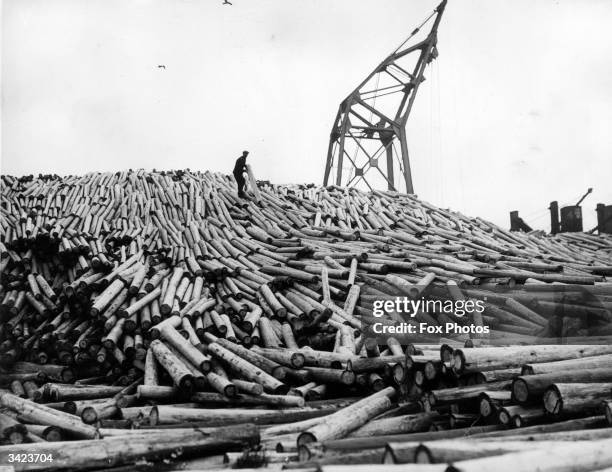 Large pile of logs at Cardiff dock waiting to be sent to various collieries as pit props.