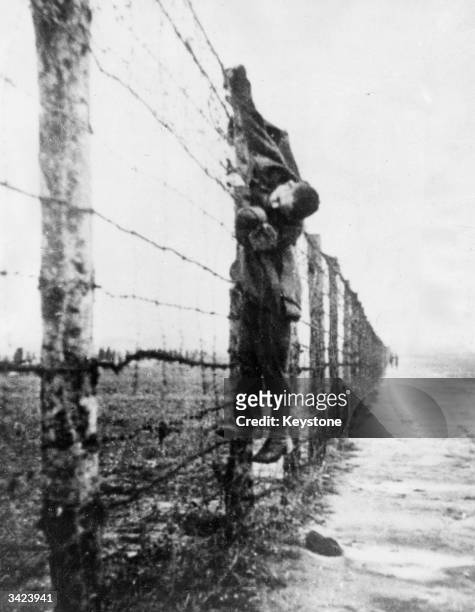 Russian prisoner of war, shot whilst trying to escape from a German prison camp. Nazis left his body on view as a warning to others.