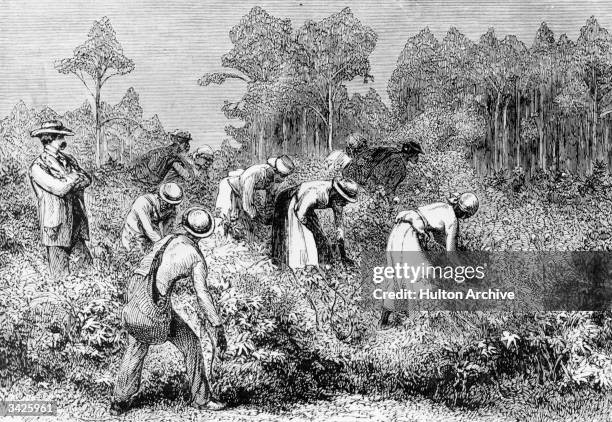White landowner overseeing black cotton pickers at work on a plantation in the southern USA, circa 1875.