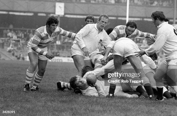 England play against Argentina at Twickenham in a Rugby Union International game. England prop Fran Cotton holds the ball, while England hooker Peter...