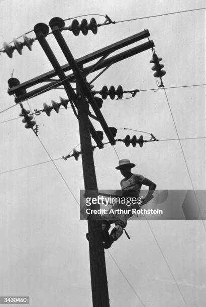 Linesman for a Rural Electrification Administration cooperative at work in Hayti, Missouri.