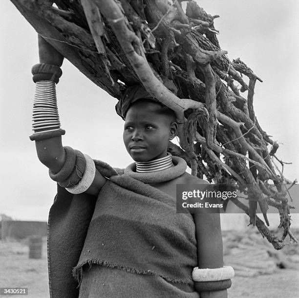 Young girl from the southern African Ndebele tribe balancing firewood on her head.