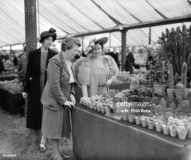 Queen Elizabeth , Queen Consort to King George VI admiring cacti at the Chelsea Flower Show, Chelsea, London.