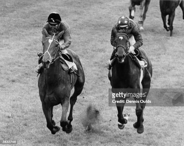 Scottish jockey, Willie Carson, riding the Queen's horse 'Dunfermline' to victory in the Oaks at Epsom.