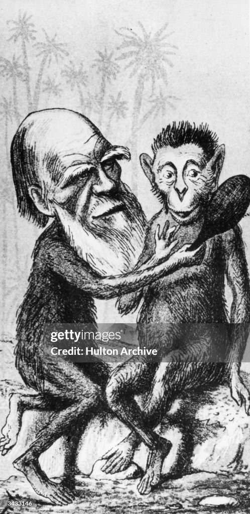 British naturalist Charles Darwin depicted with an ape's body while ...