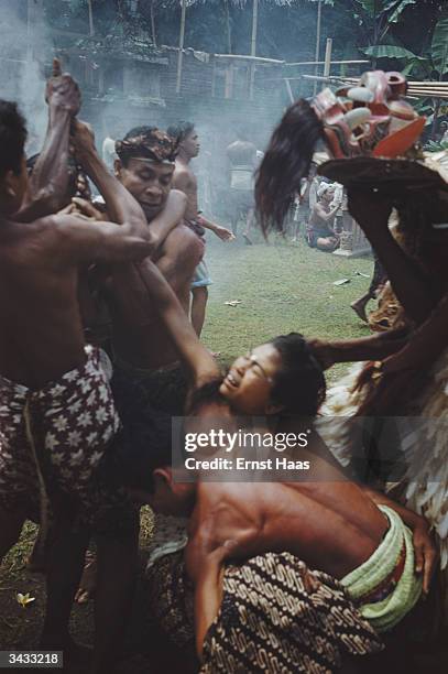 An ecstatic woman during a Balinese 'barong' dance ritual when possessed devotees fall into trances and have to be restrained for fear of...