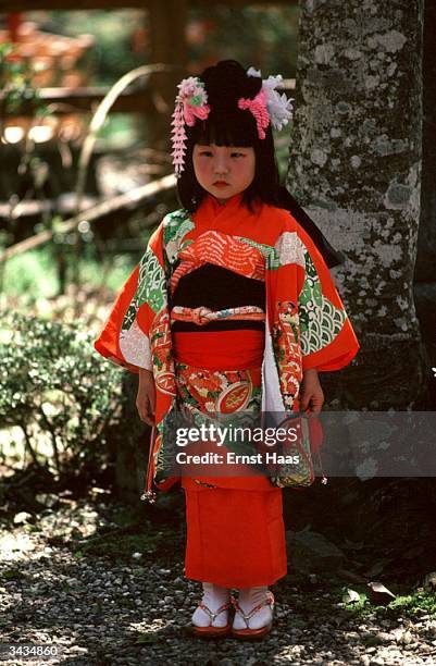 Dressed up for the Hat Dance festival a little girl wears a bright red kimono, her hair piled on top of her head is decorated with flowers