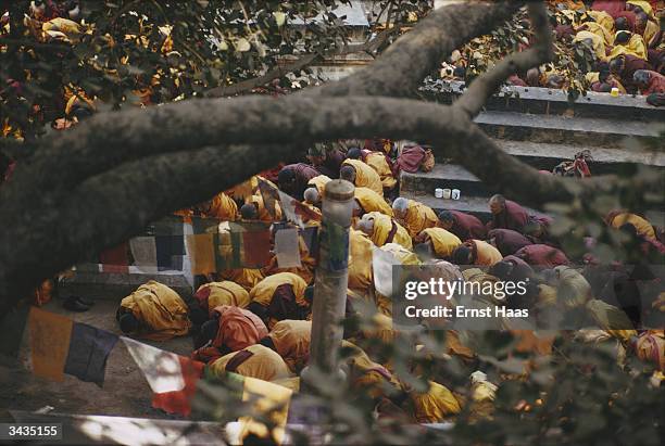 Munks Tree 131 Buddha Under The Bodhi Tree Stock Photos, High-Res Pictures, and ...