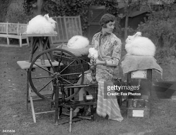 Sybil Mary spinning Angora rabbit wool in her garden.