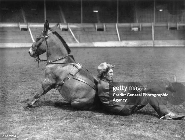 Man and his horse relaxing at Wembley Stadium.