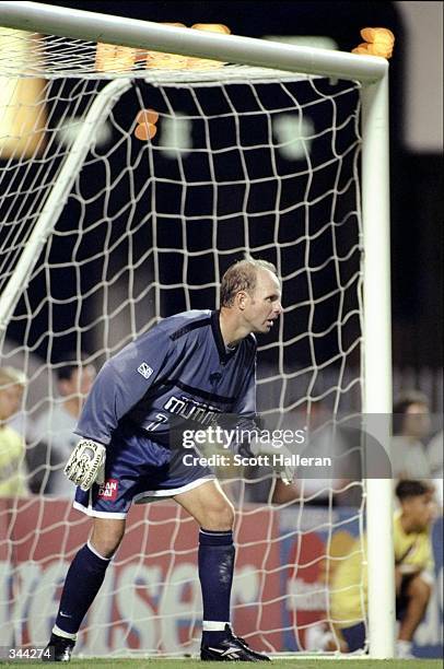 Goalie Thomas Ravelli of the Tampa Bay Mutiny looks on during a game ...