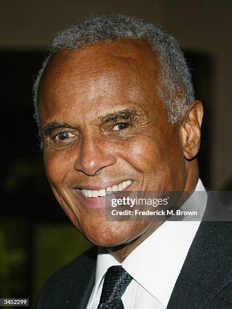 Actor Harry Belafonte attends the Death Penalty Focus Awards at the Beverly Hilton Hotel, on April 20, 2004 in Beverly Hills, California. The anti...