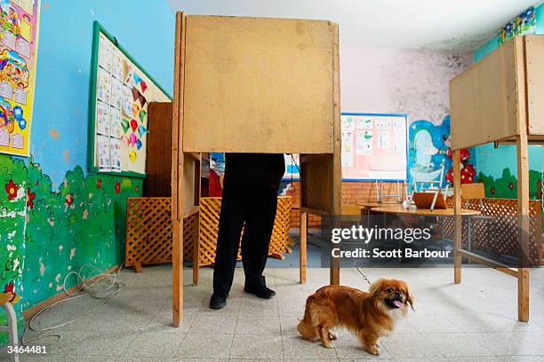 Turkish Cypriot man marks his voting form in a polling booth as his dog waits on April 24, 2004 in Nicosia, Cyprus. More than three-quarters of Greek...