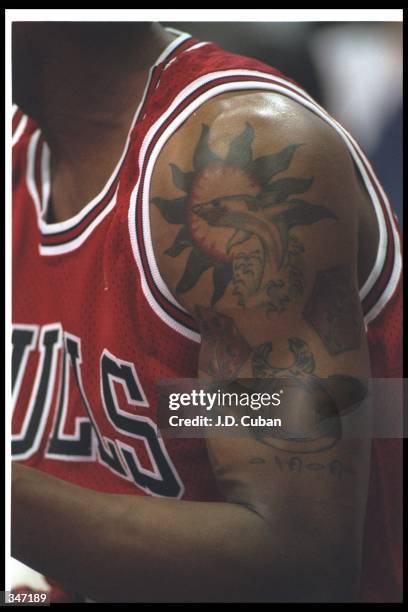 259 Bulls Tattoos Stock Photos High Res Pictures And Images Getty 259-bulls-tattoos-stock-photos-high-res-pictures-and-images-getty